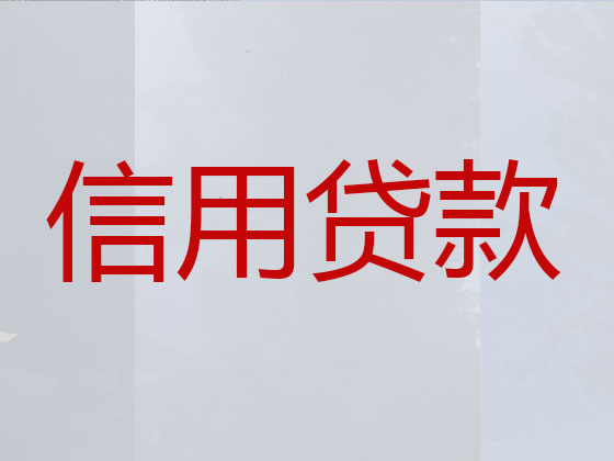 东海贷款公司-银行信用贷款